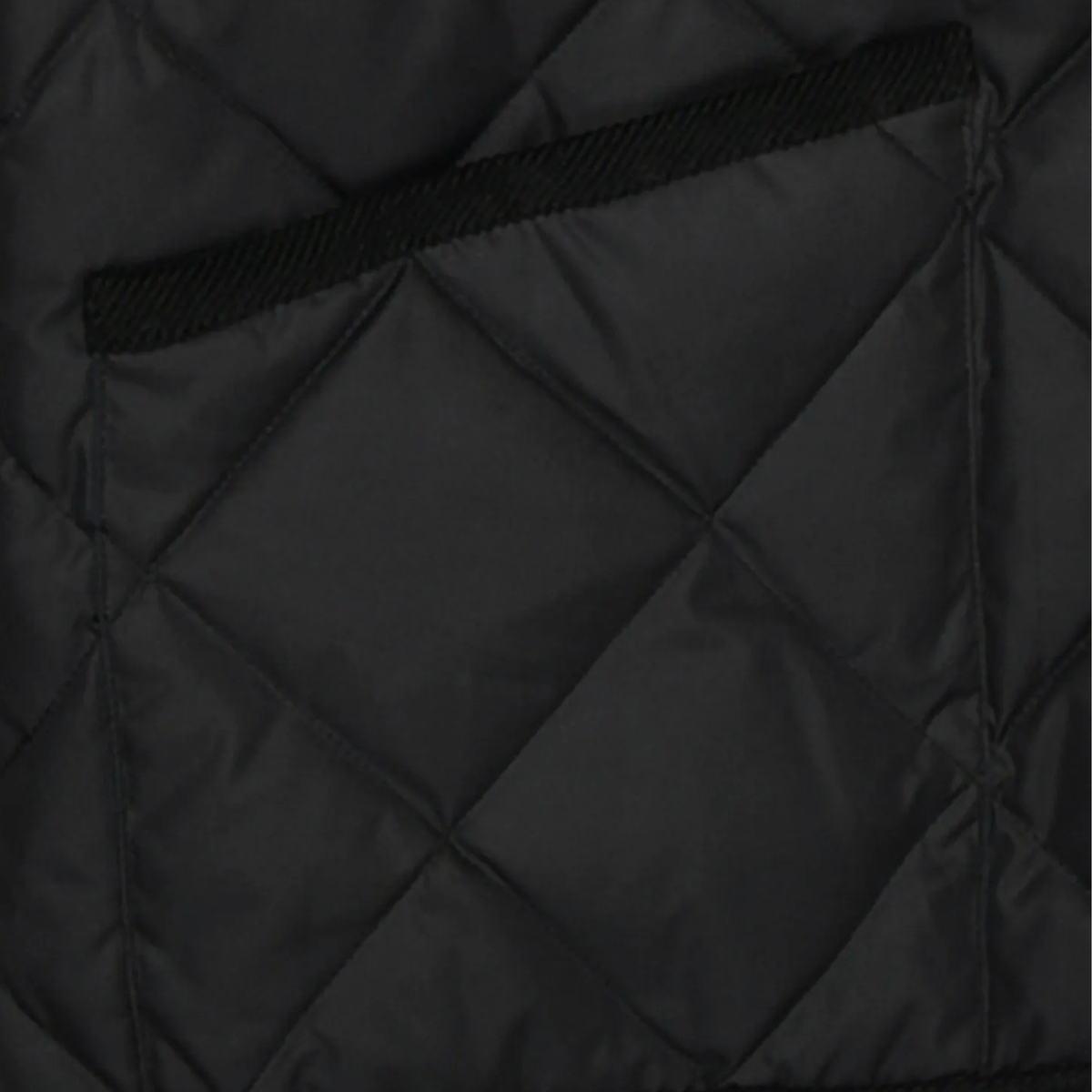 TAION - Piping Collar Down Cardigan