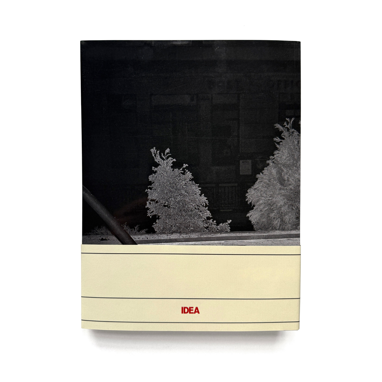 IDEA - Derek Ridgers Hello, I Love You