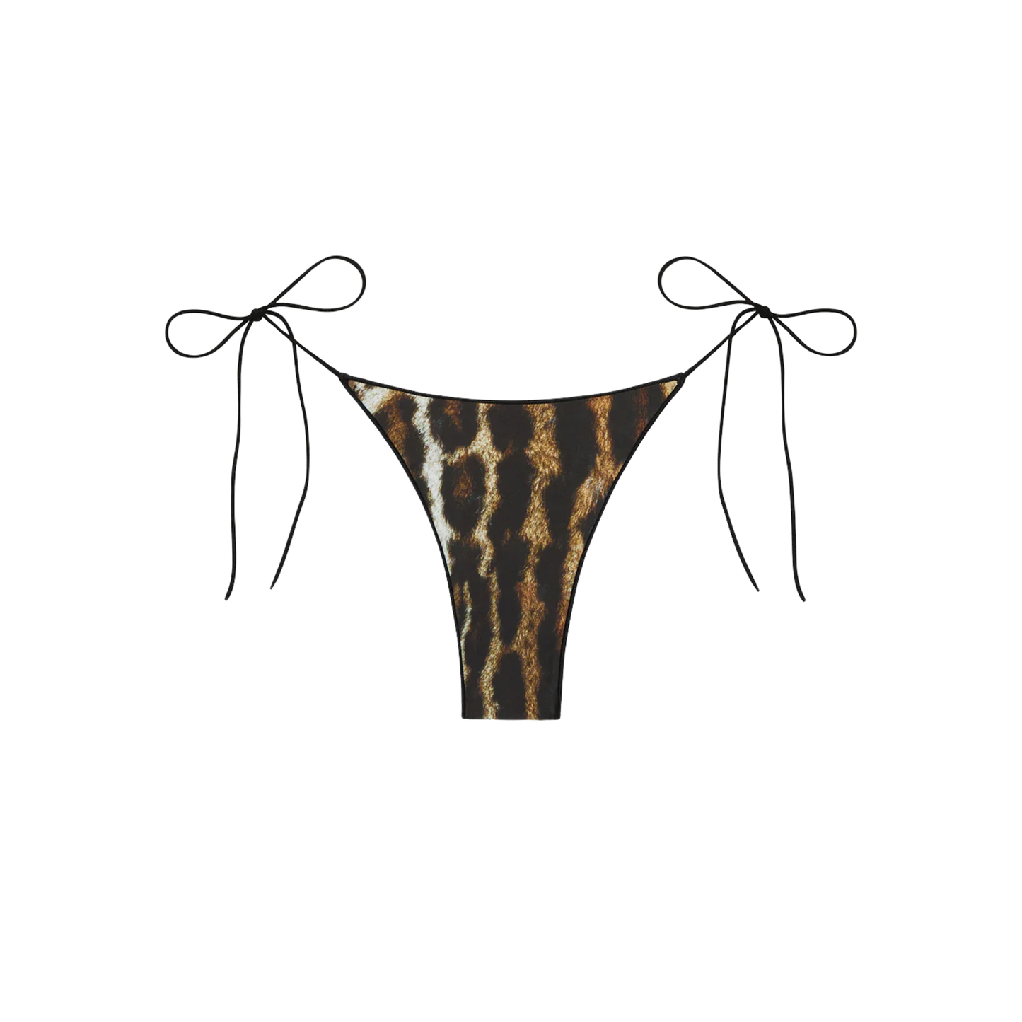 TROPIC OF C - The C Bottom Ocelot